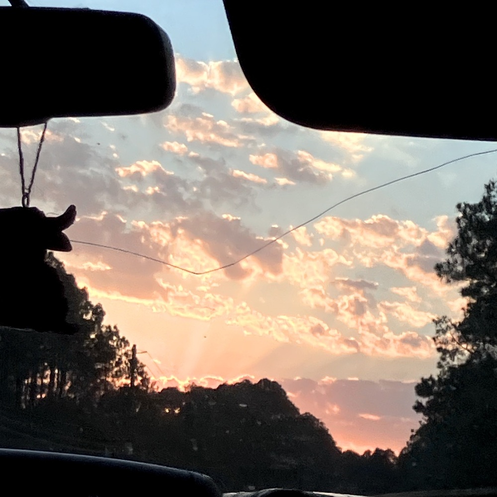 Meet your Posher, Selene